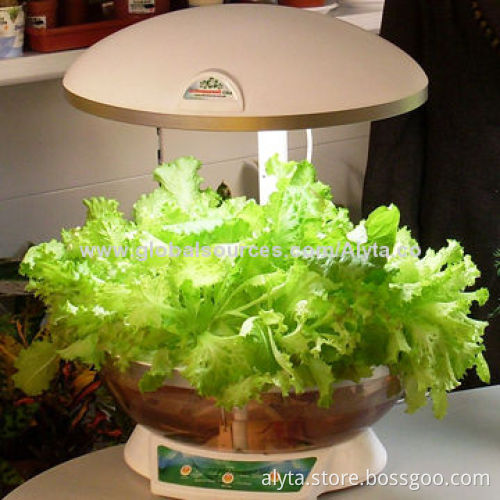 Hydroponic Intelligent Automatic Planter as Fish Tank, Stylish Home Items, 55W Power